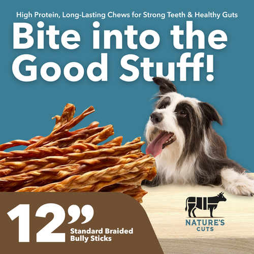 12" Standard Braided Bulk Bully Sticks