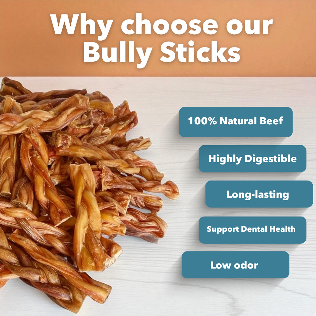 6" Thick Braided Bully Sticks