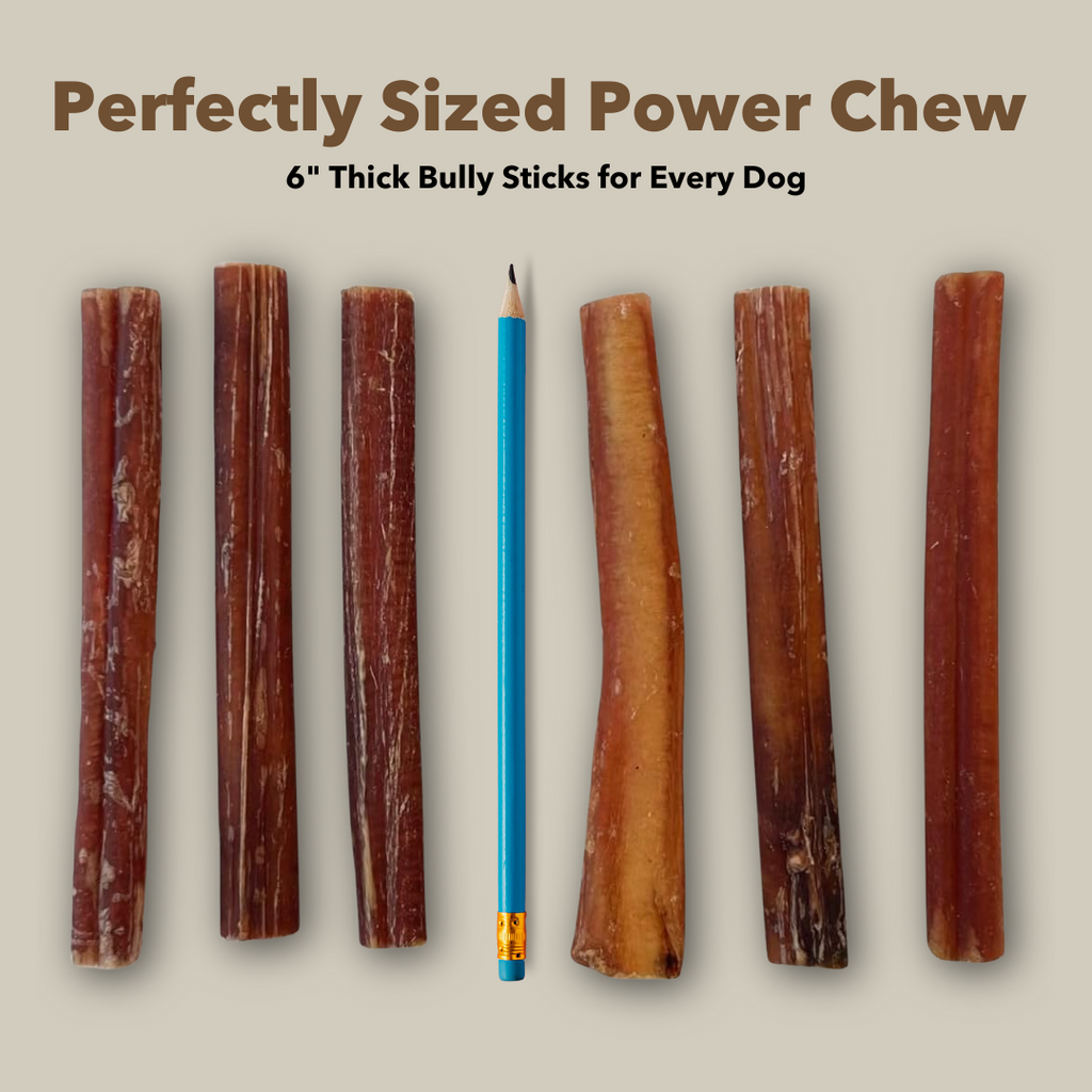 6" Thick Bulk Bully Sticks