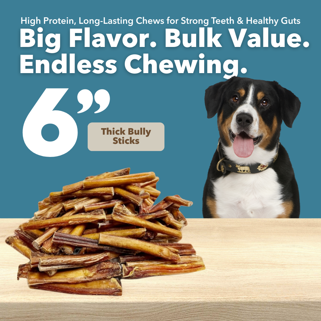 6" Thick Bulk Bully Sticks