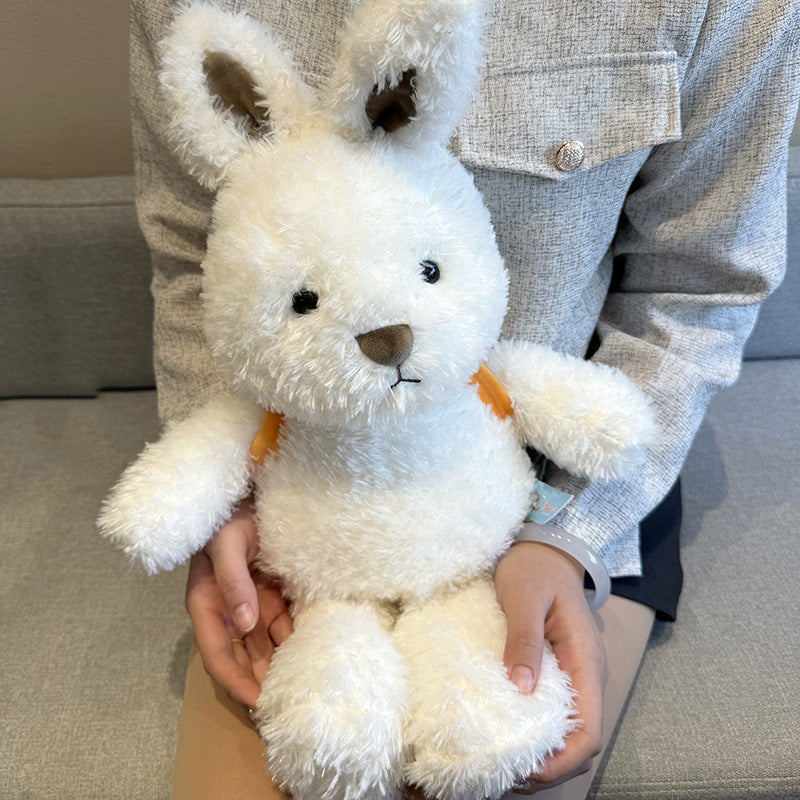 Adorable Plush Toy Dog Doll Collection