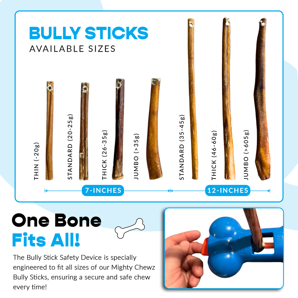 12" Jumbo Bully Sticks - Bully Bone Included