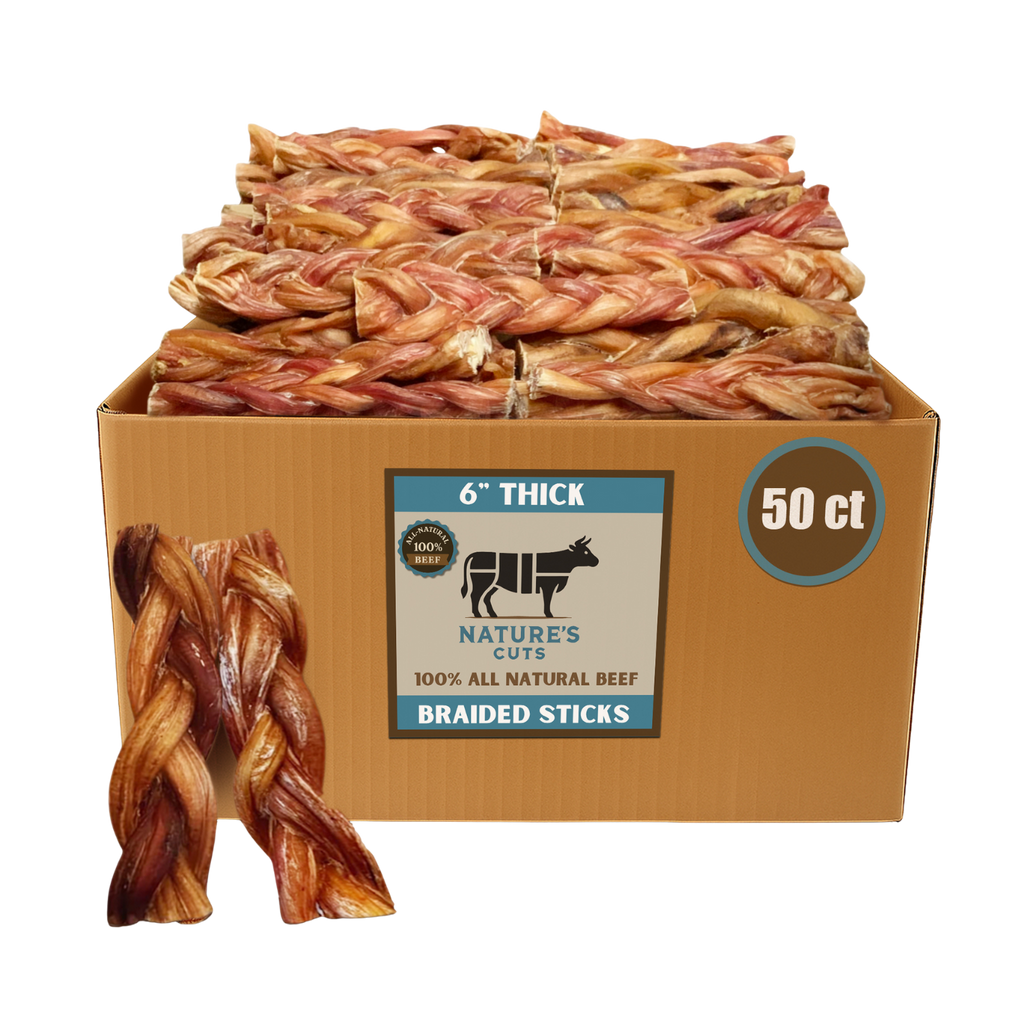 6" Thick Braided Bully Sticks
