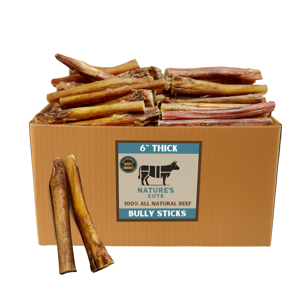 6" Thick Bulk Bully Sticks