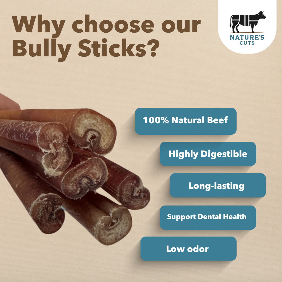 6" Thick Bulk Bully Sticks